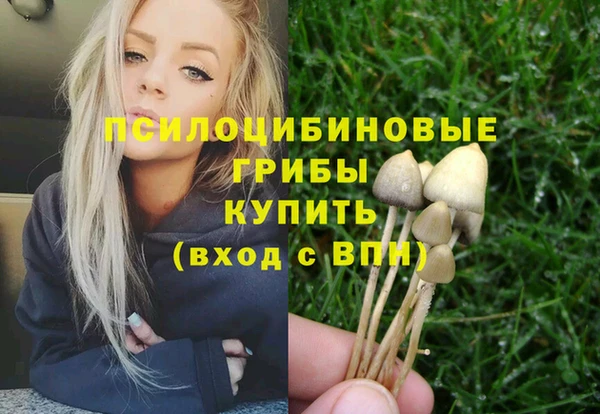 МДПВ Алексин