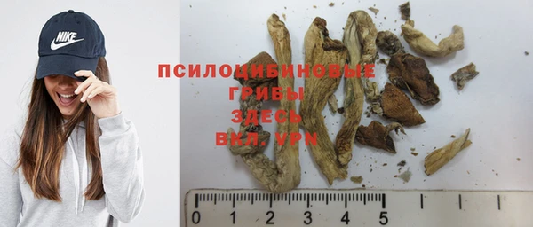 МДПВ Алексин
