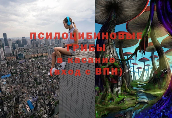 МДПВ Алексин