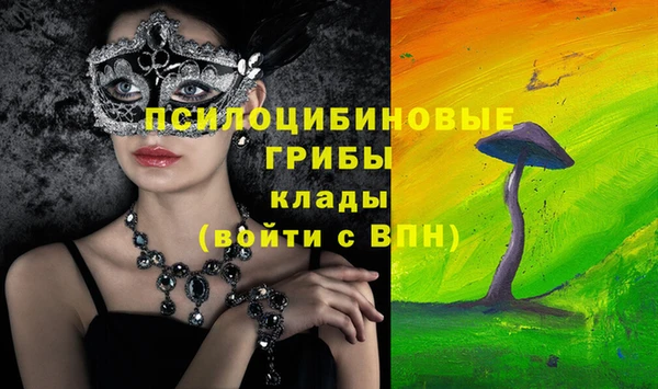 spice Абинск